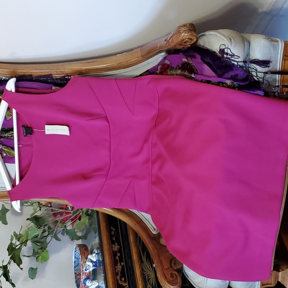Ann Taylor New with Tag